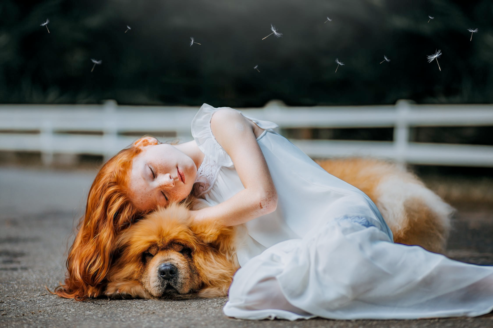 Pets can offer comfort and companionship like a friend to your child. Recent research shows that 90% of children live with a pet at some point in their childhood. From daycare centers to after-school programs, children can come across pets in different stages of their lives. However, having a pet at home can provide numerous benefits to […]